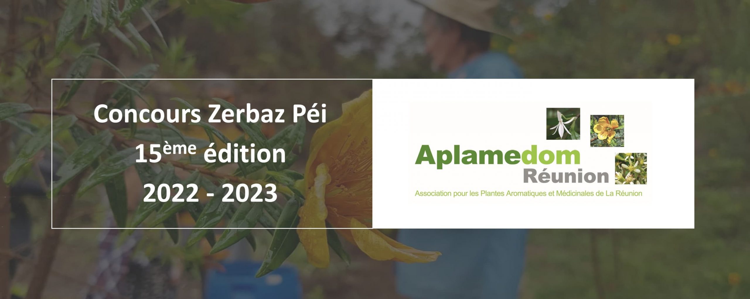 Concours Zerbaz Péi 2023